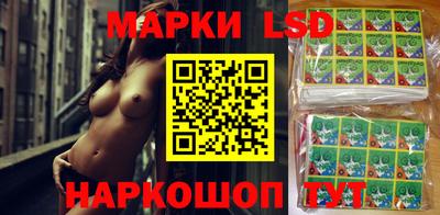 apvp Гагарин