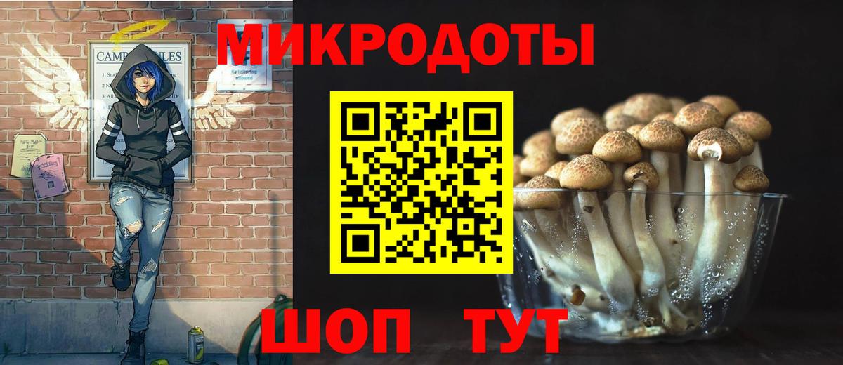 Галлюциногенные грибы Psilocybe Зеленокумск